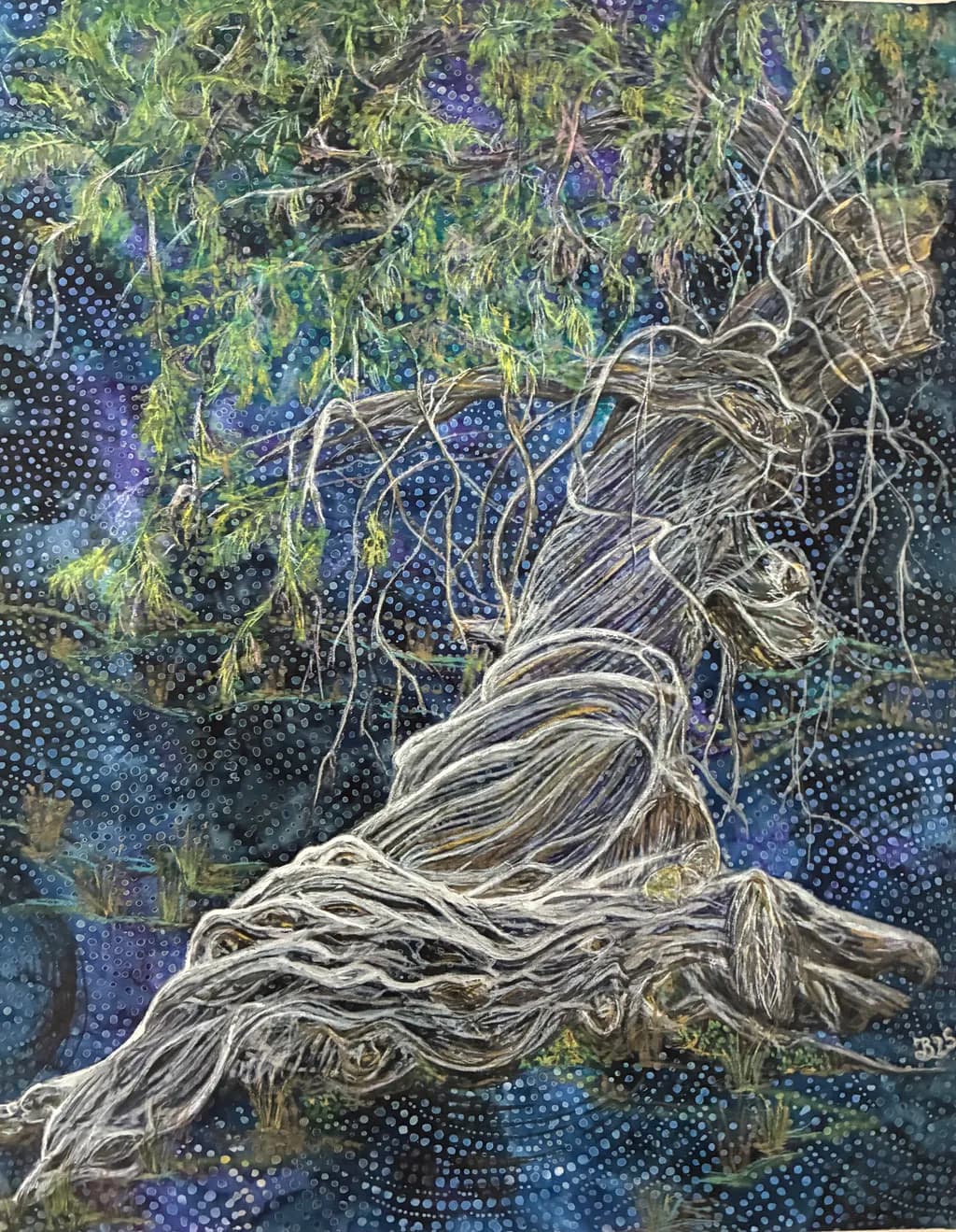 Entwined Roots