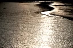 Horizon Reflection