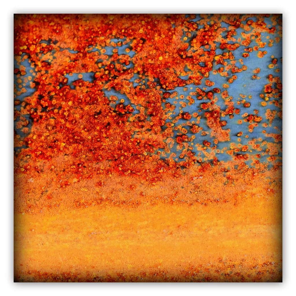 Concours59 Rustscape