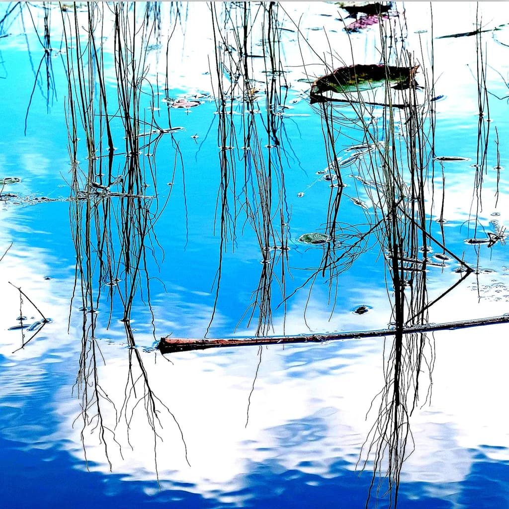 Reflections in Blue