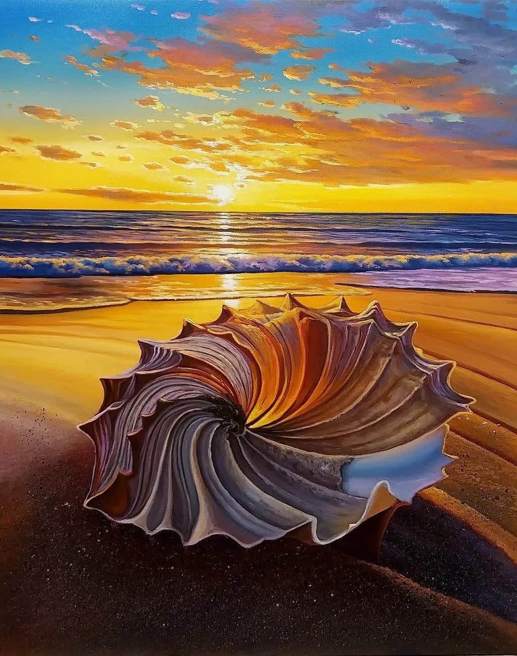Seashell Sunset