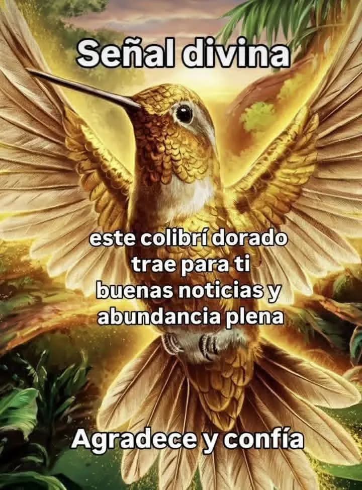 Divine Signal