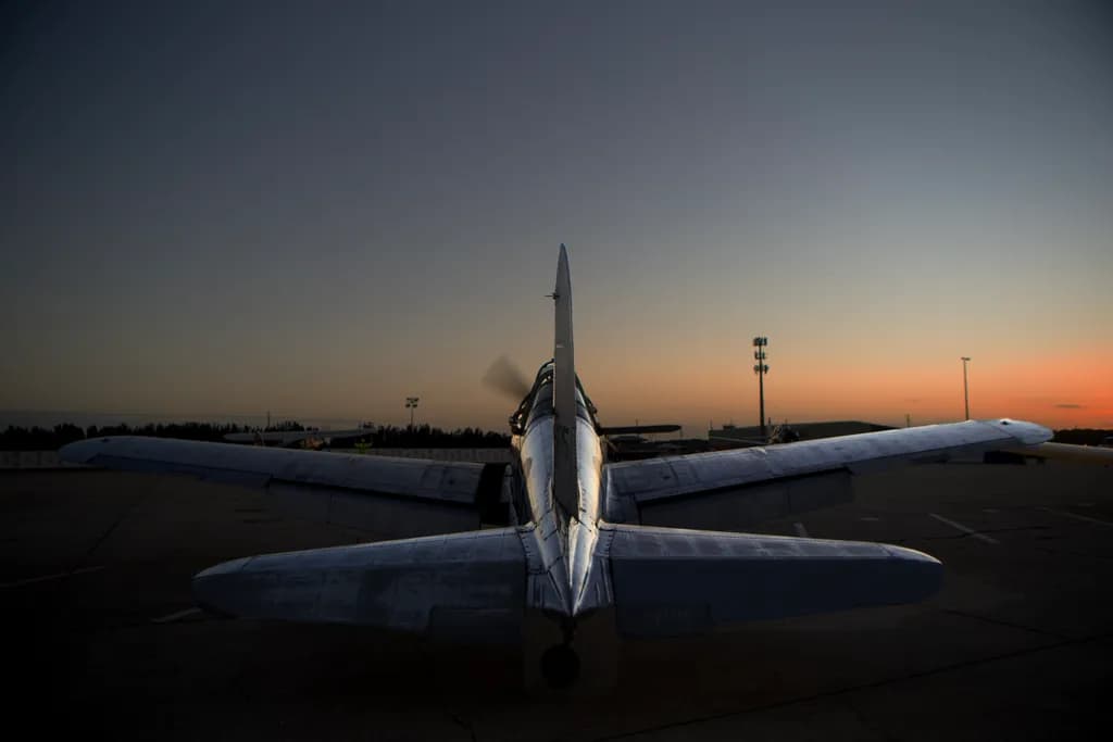 Metallic Sunset Flight