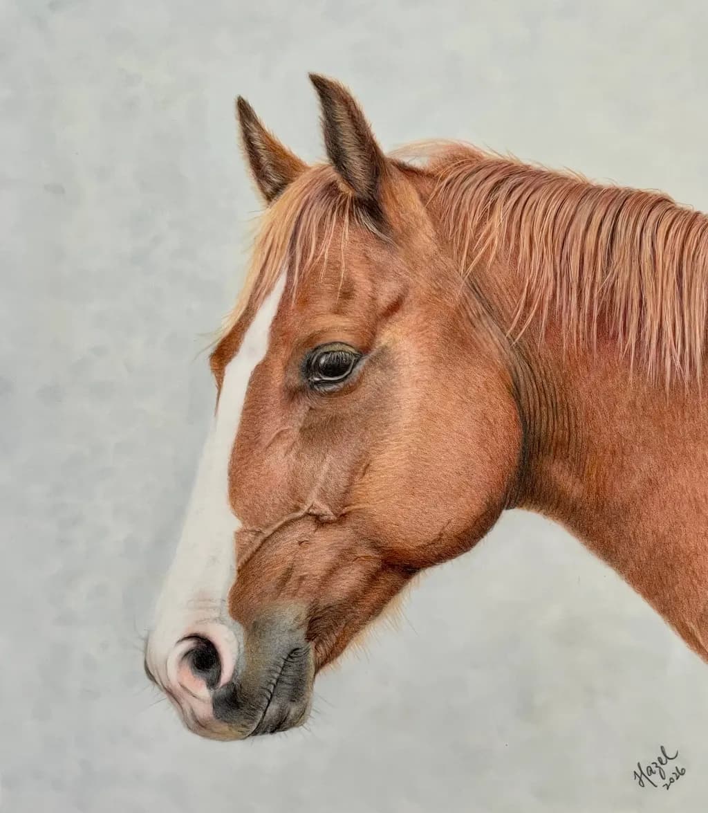 Chestnut Profile