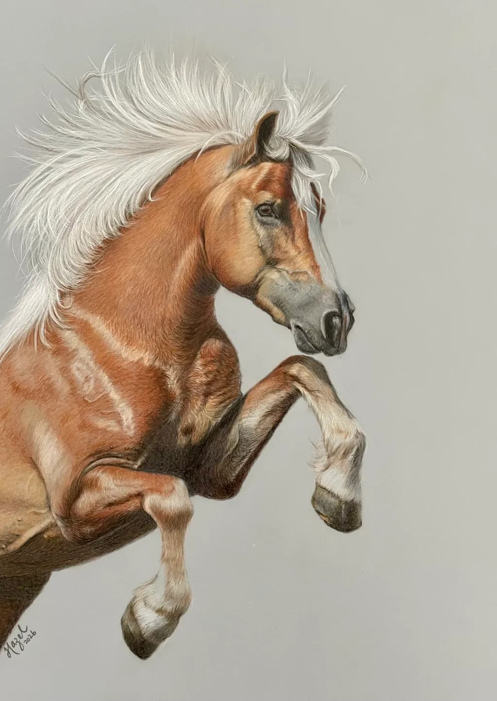 Charging Spirit