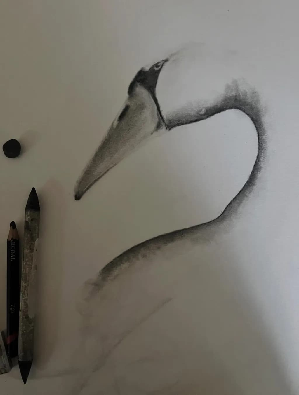 Swan Profile