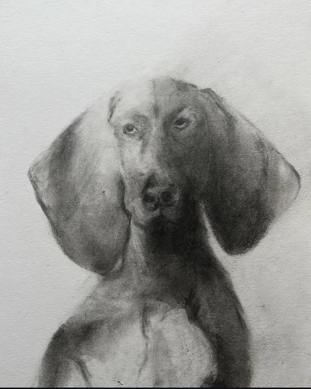 Noble Canine Portrait