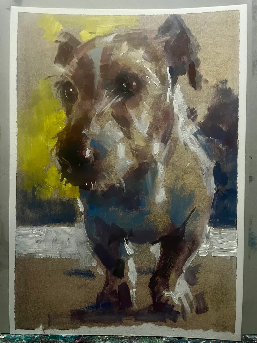 Canine Portraiture