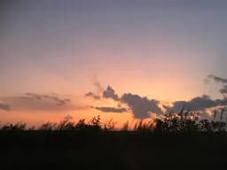 Sunset Silhouette