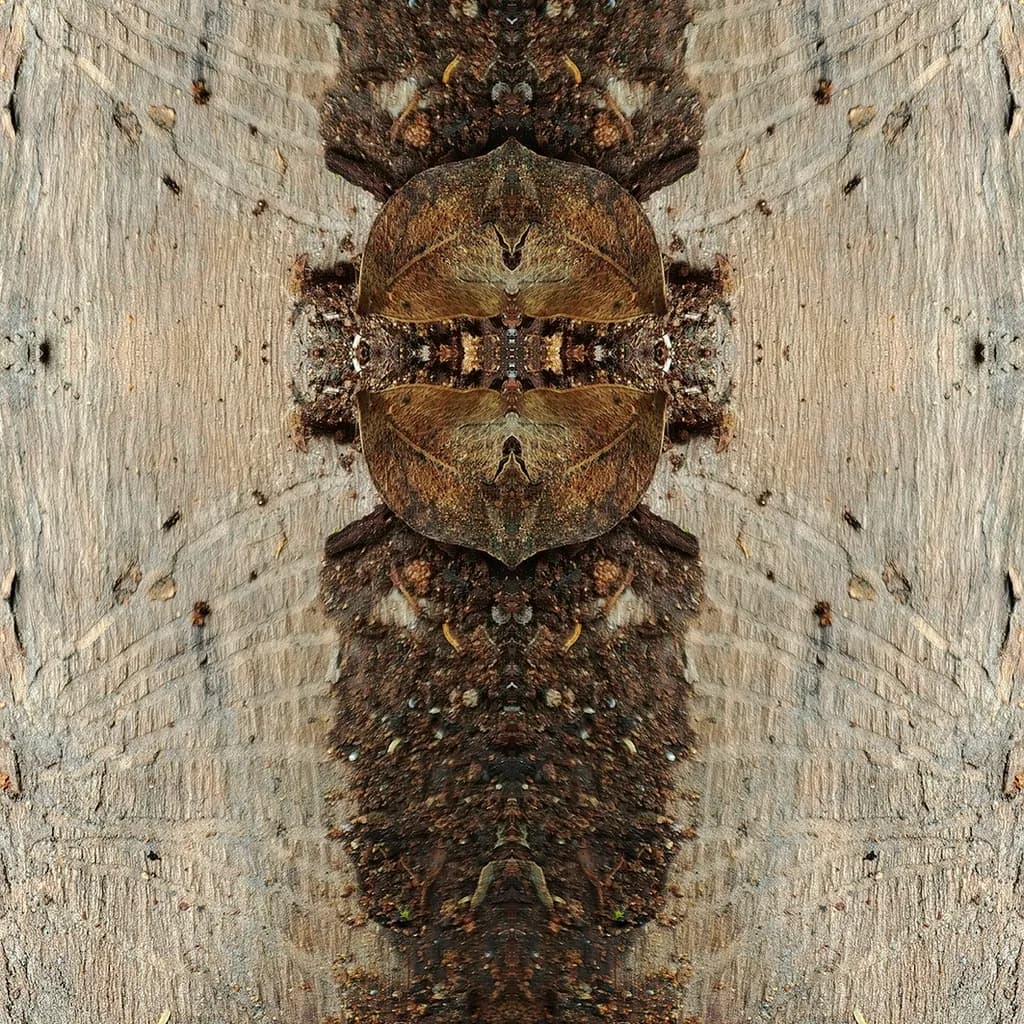 Root Guardian