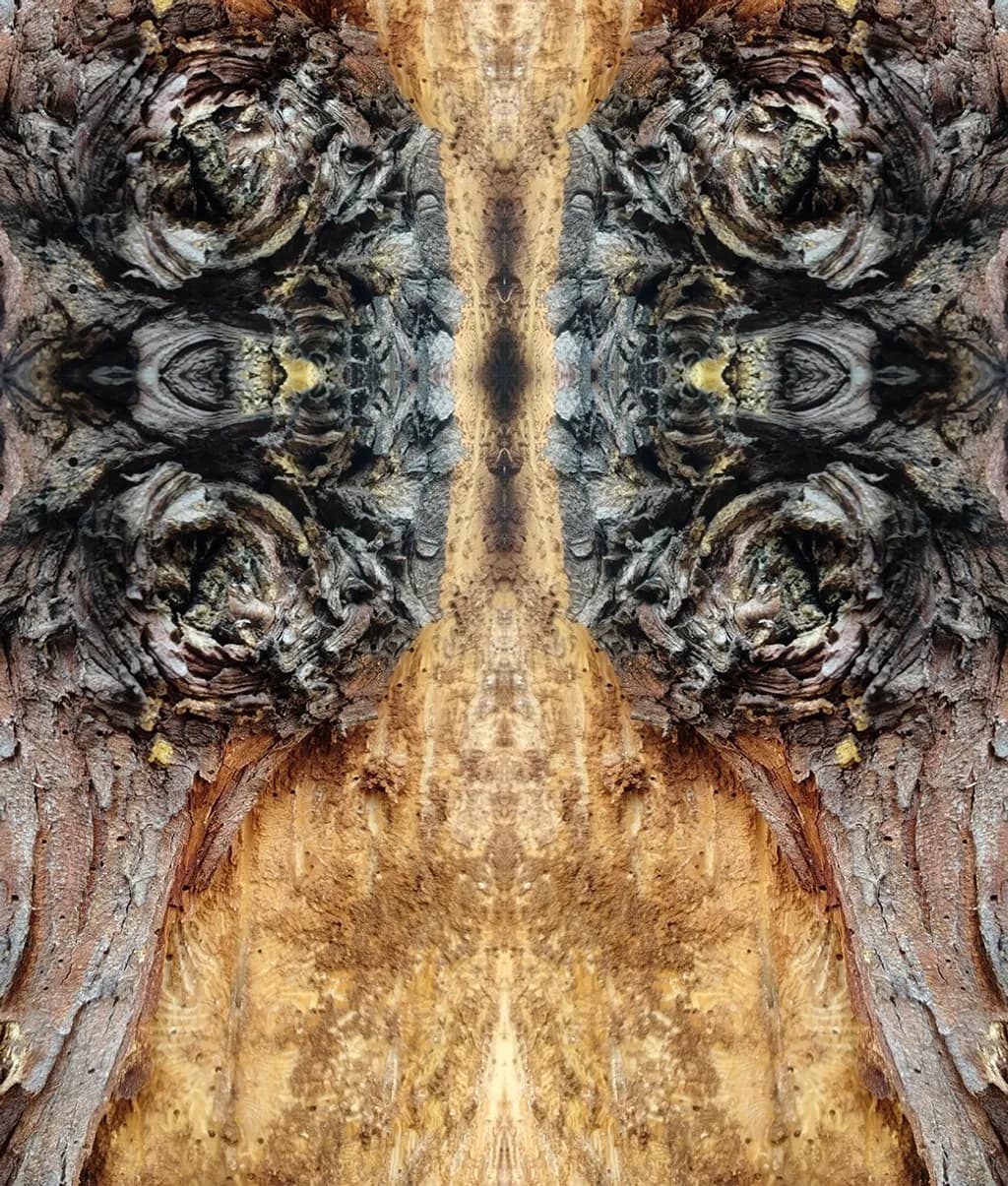 Woodland Guardian