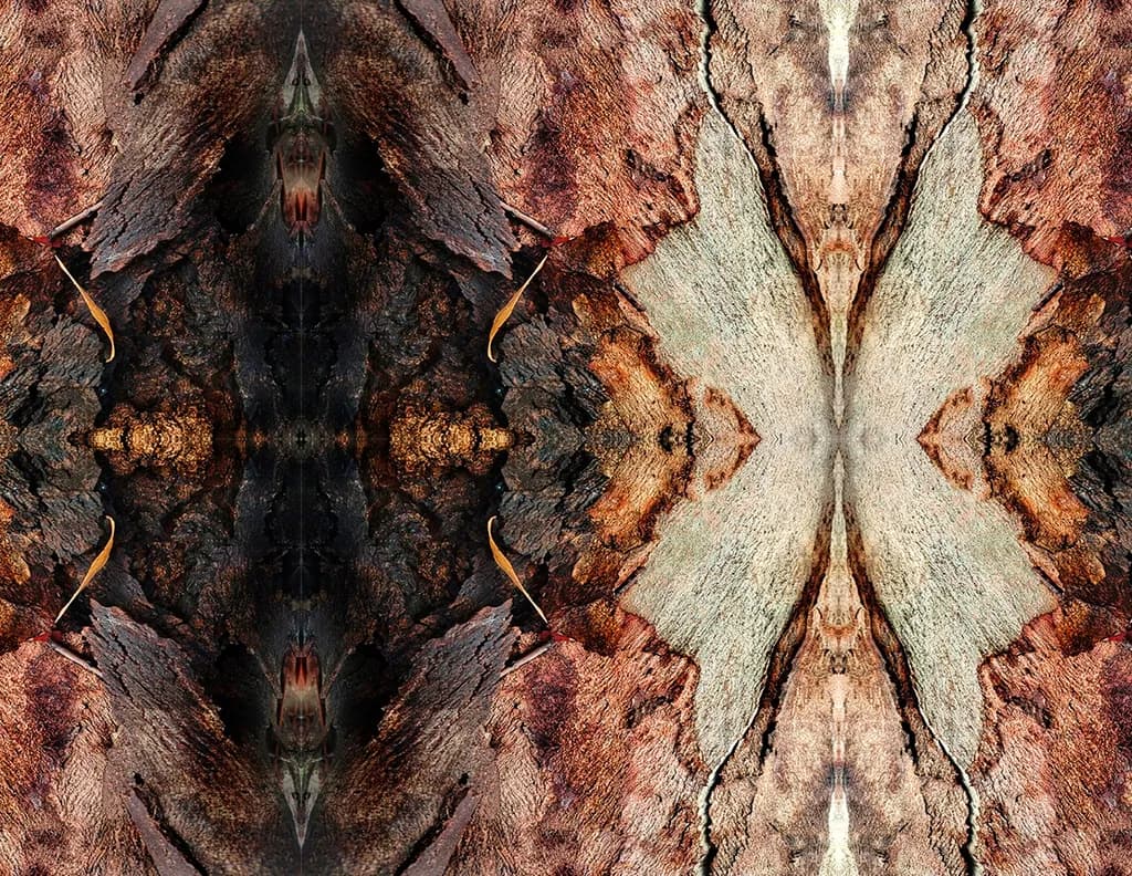 Bark Reflection