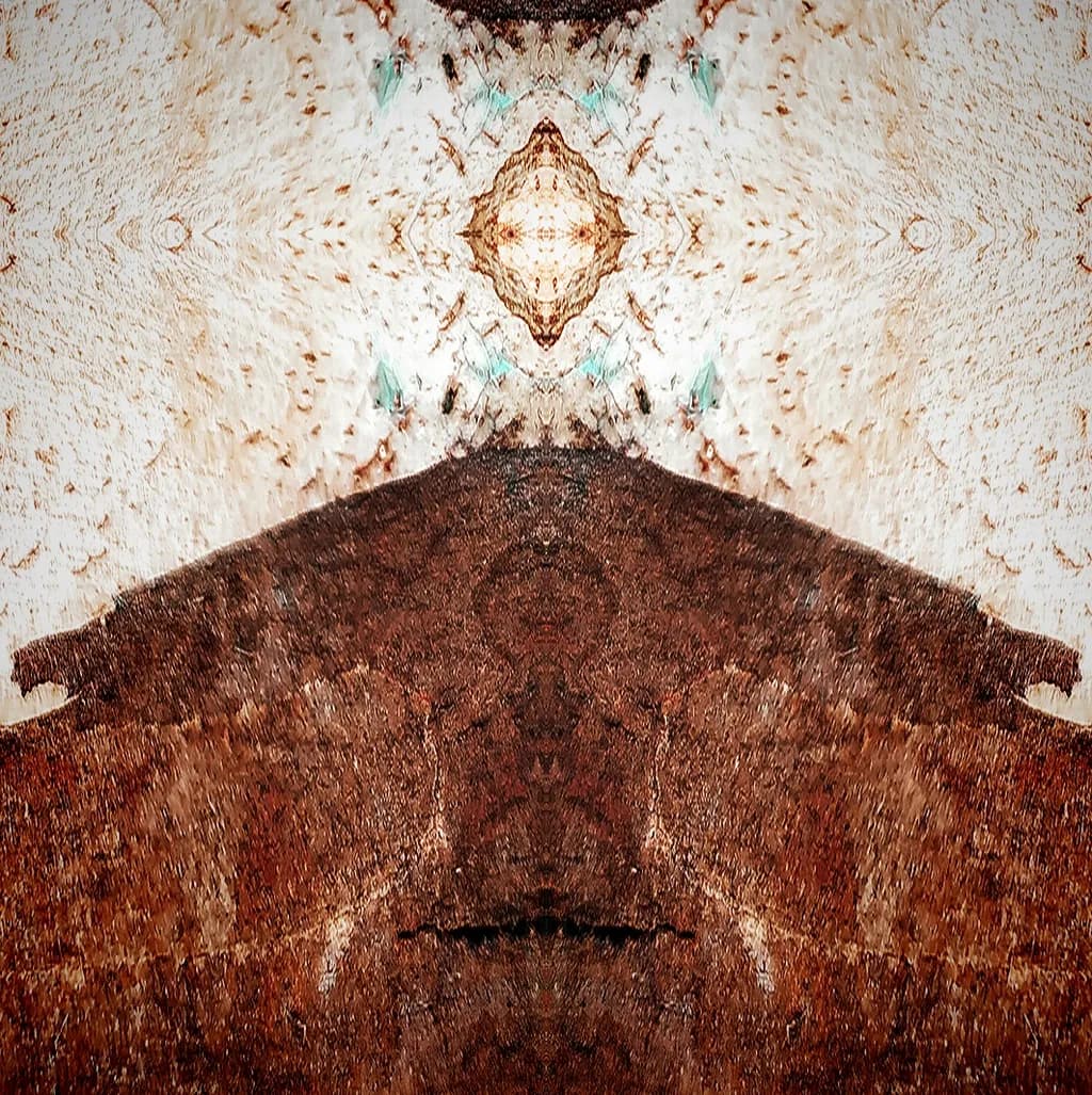 Rustic Pattern Symmetry