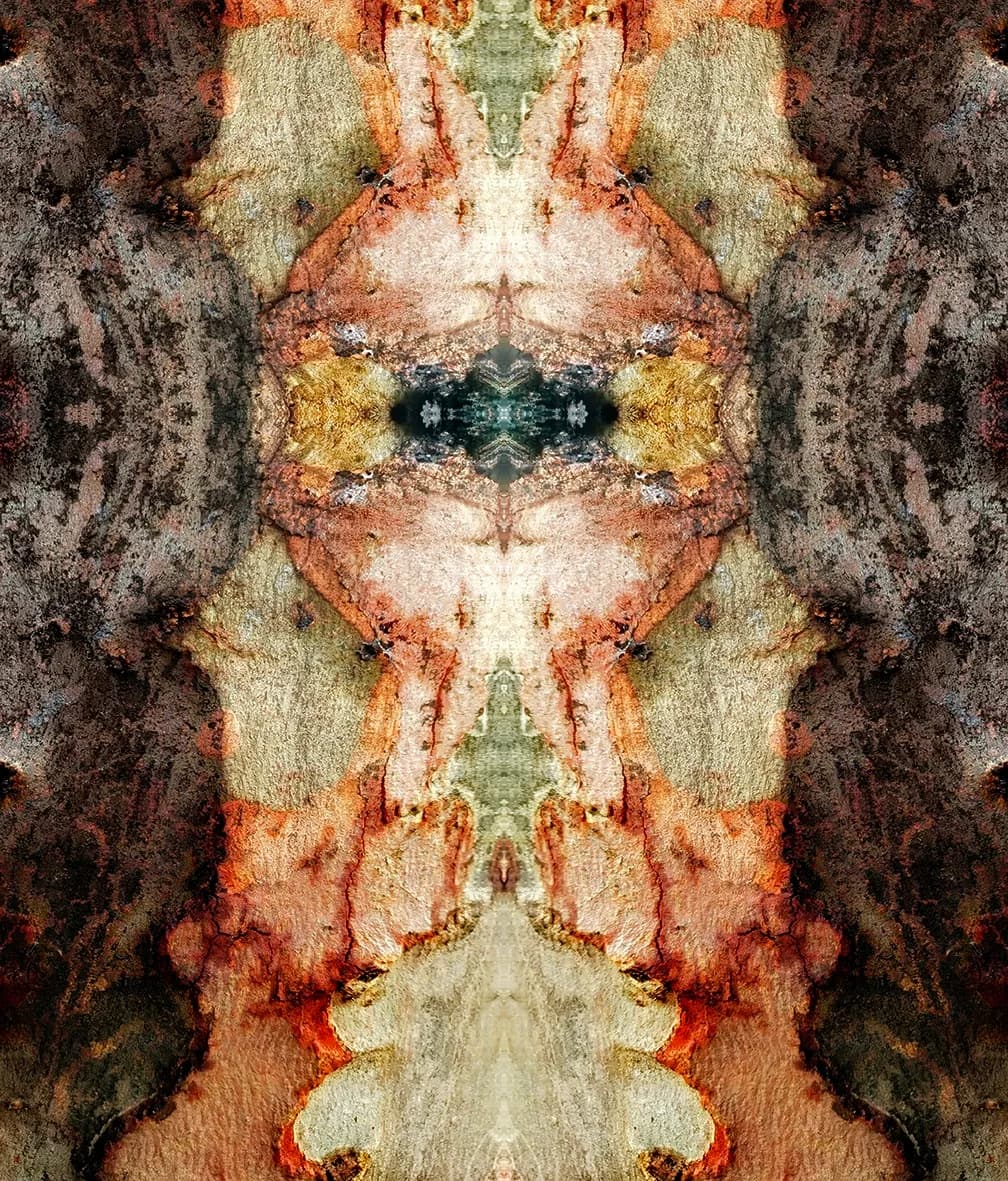 Textured Symmetry