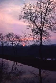Twilight Reflections