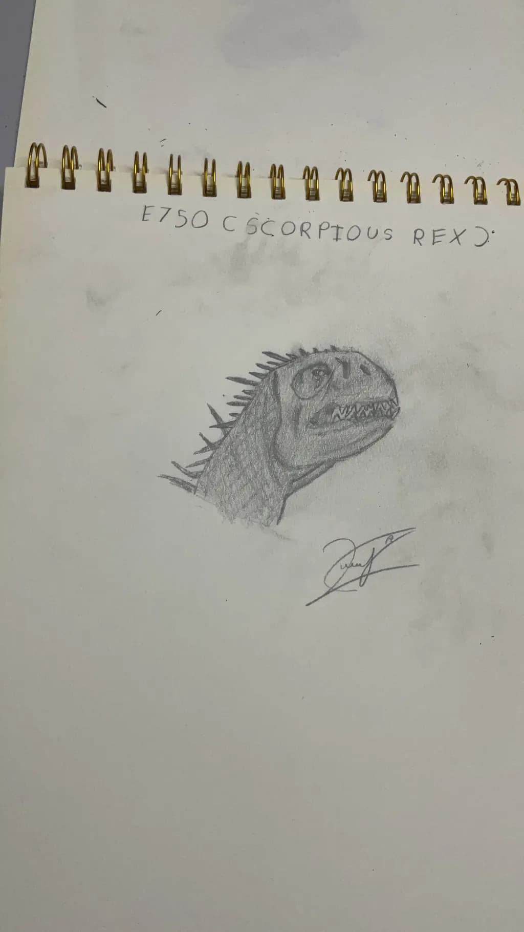 Scorpious Rex Sketch