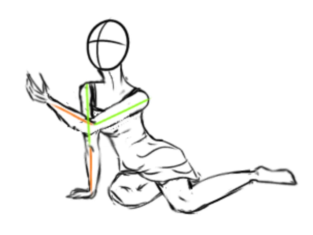 Dynamic Anatomy Sketch