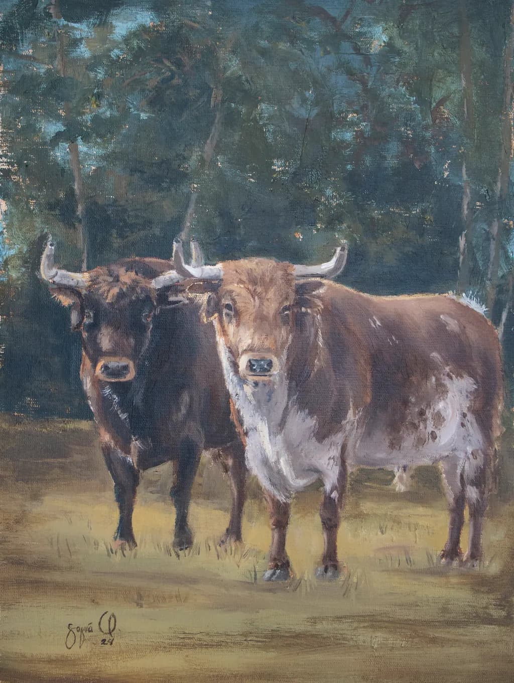 Toros