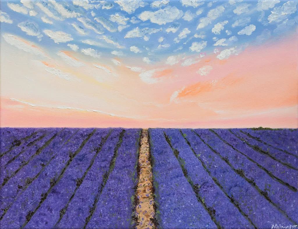 Lavender Fields at Dusk