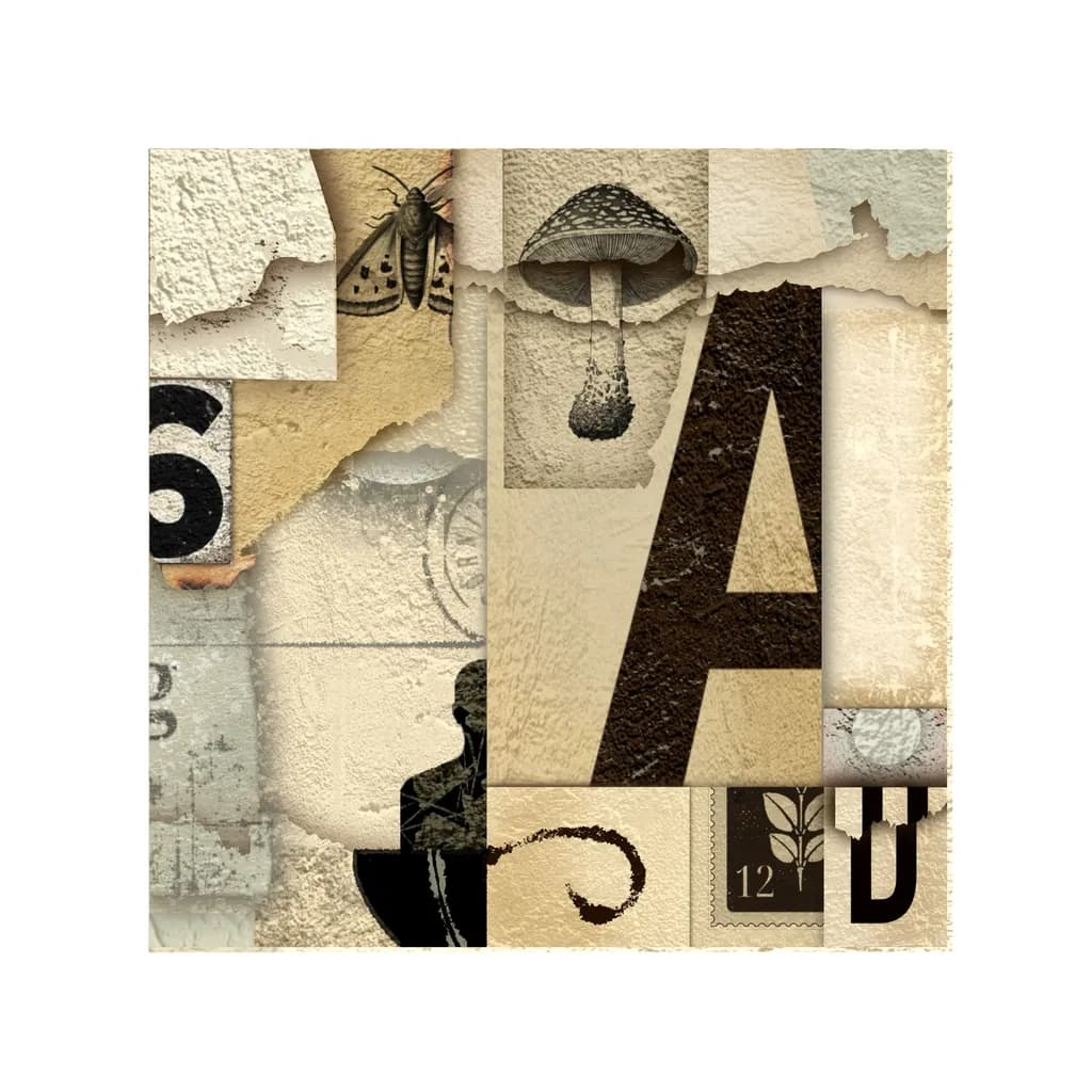 Collage of Elements