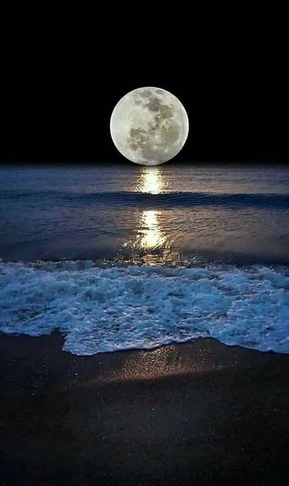 Lunar Reflection