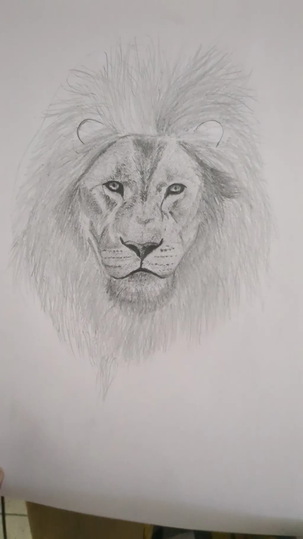 Majestic Lion Portrait