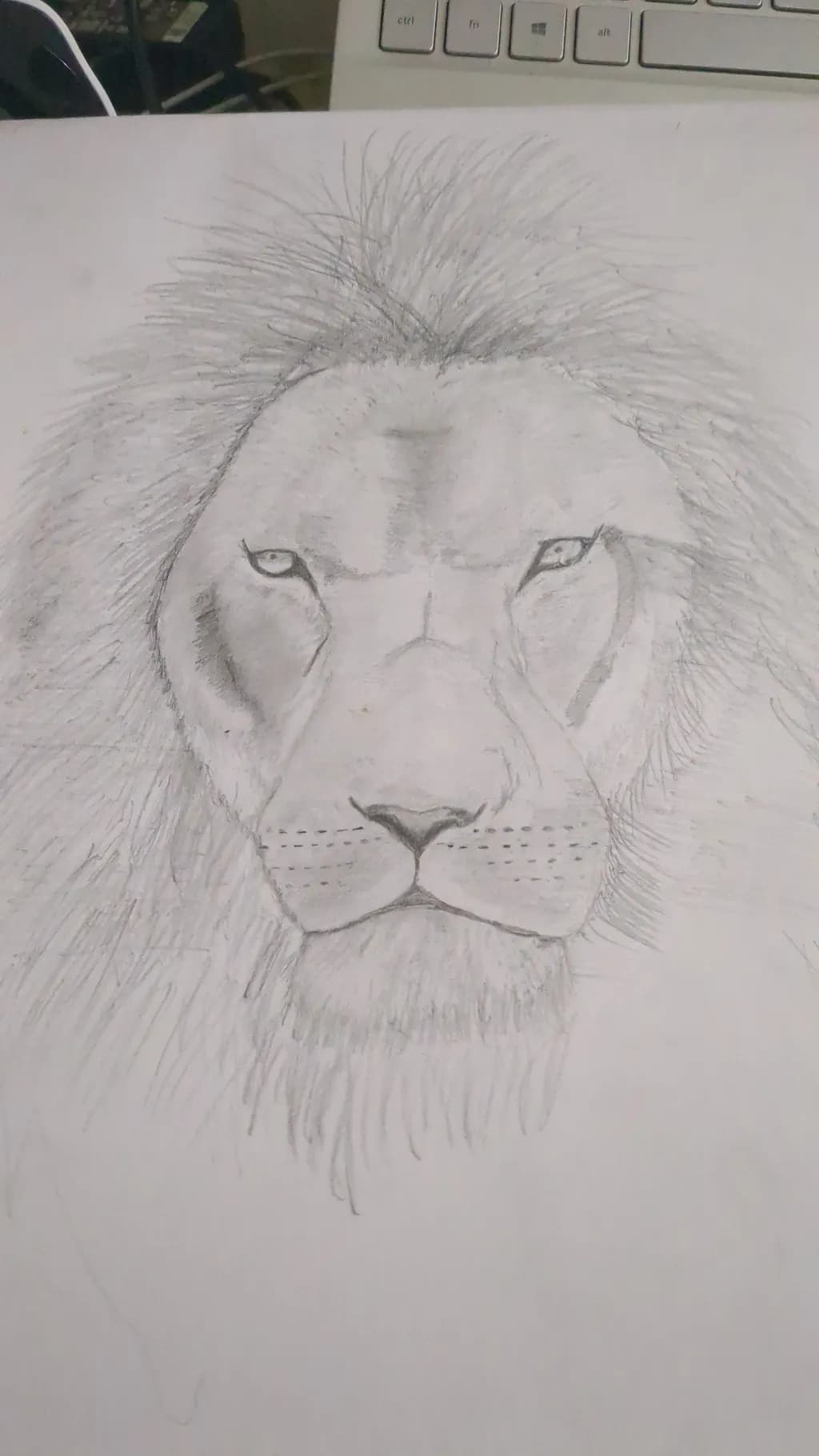 Majestic Lion Portrait