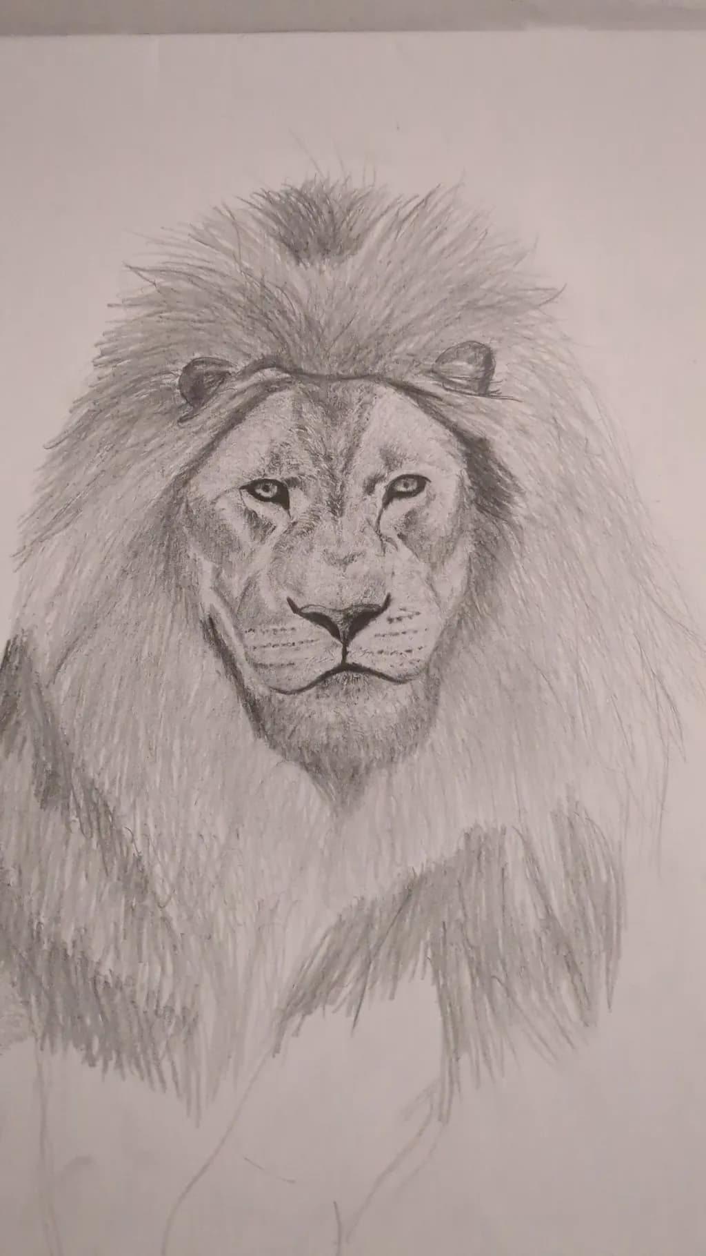 Majestic Lion Portrait