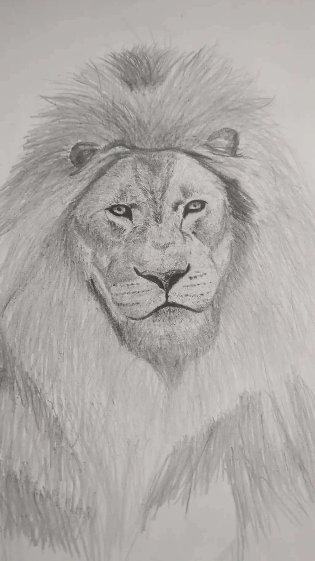 Majestic Lion