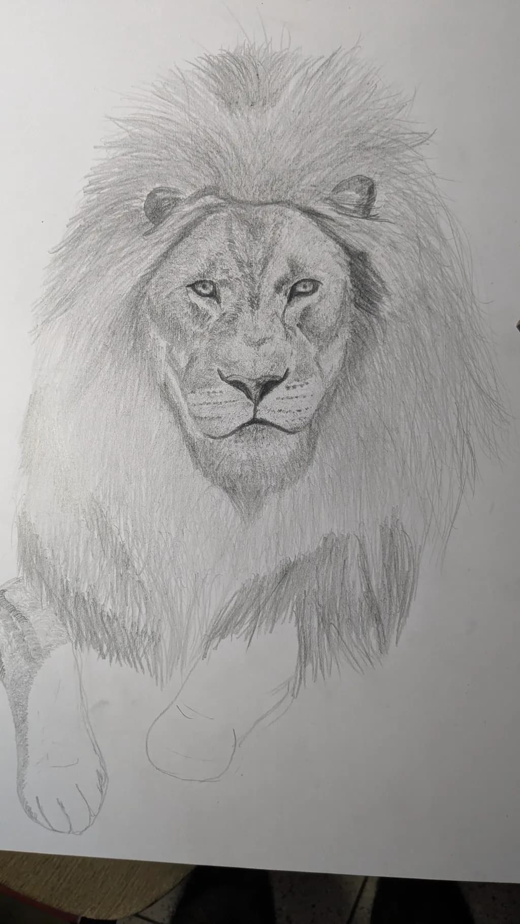 Majestic Lion Portrait