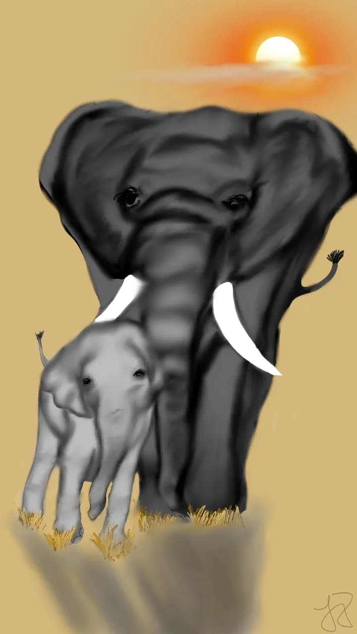 Elephant Bond