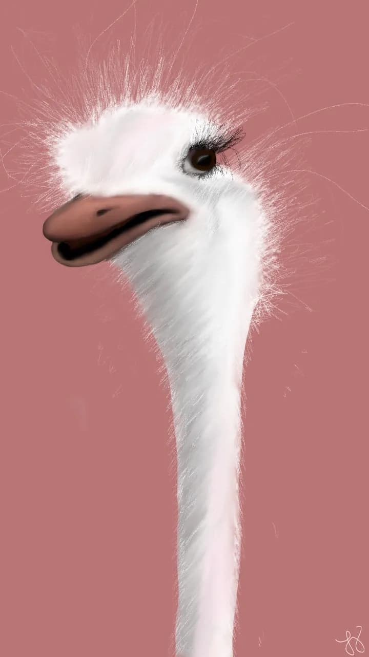 Ostrich Portrait