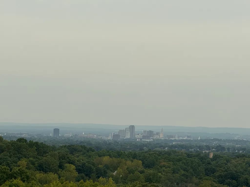 Urban Overcast Serenity