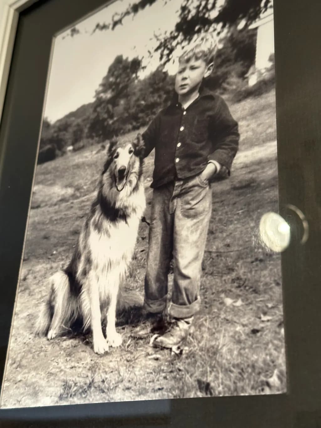 Boy and Collie