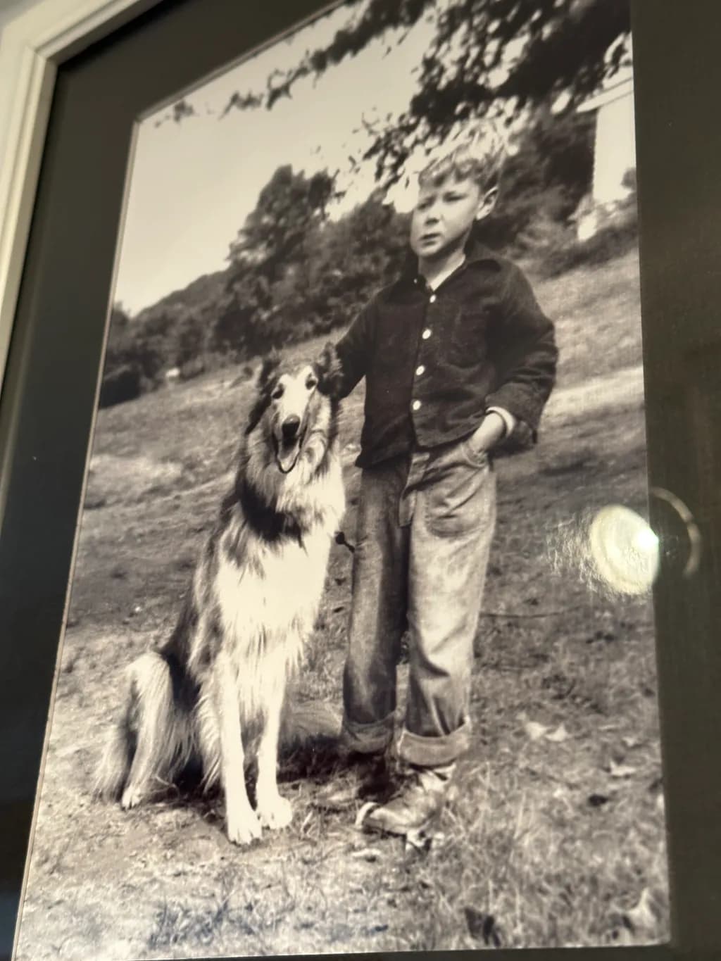Boy and Collie
