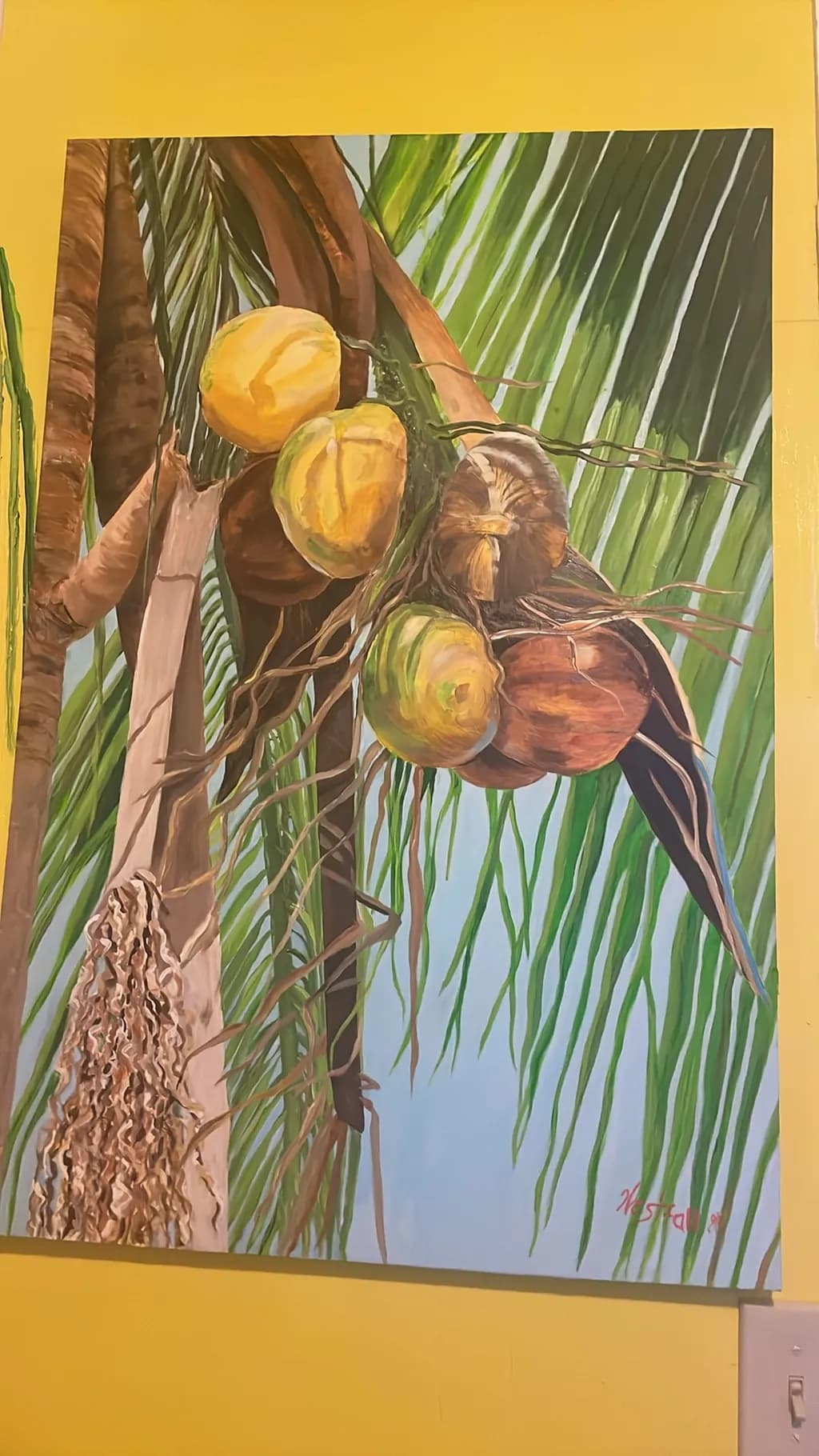 Tropical Coconuts