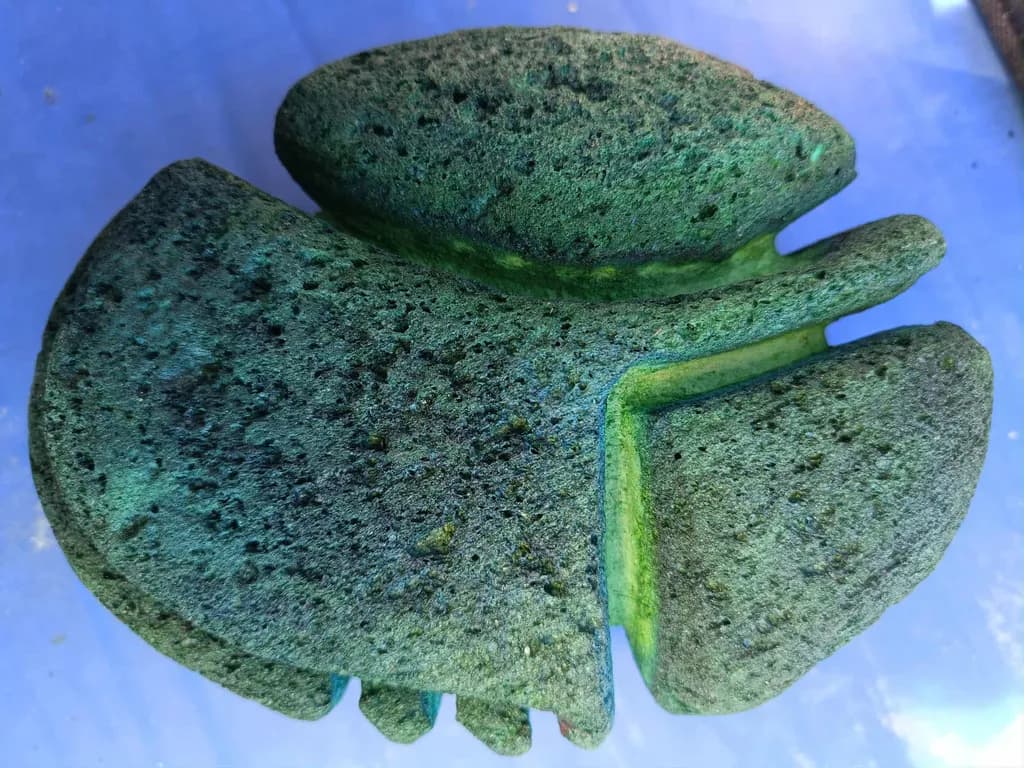 Organic Form