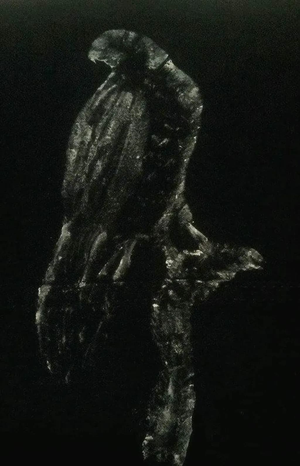 Shadowed Figure