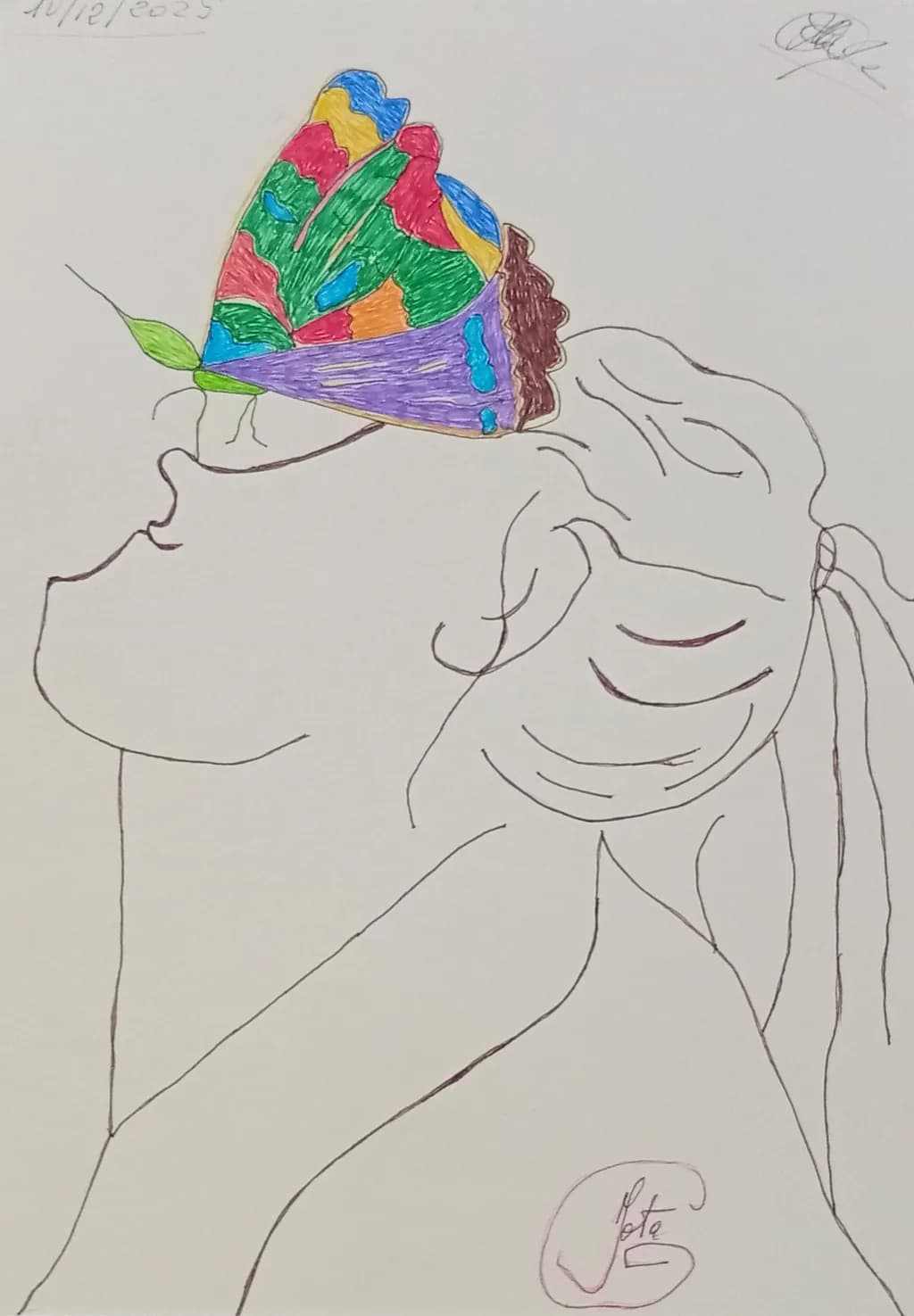 Butterfly Profile