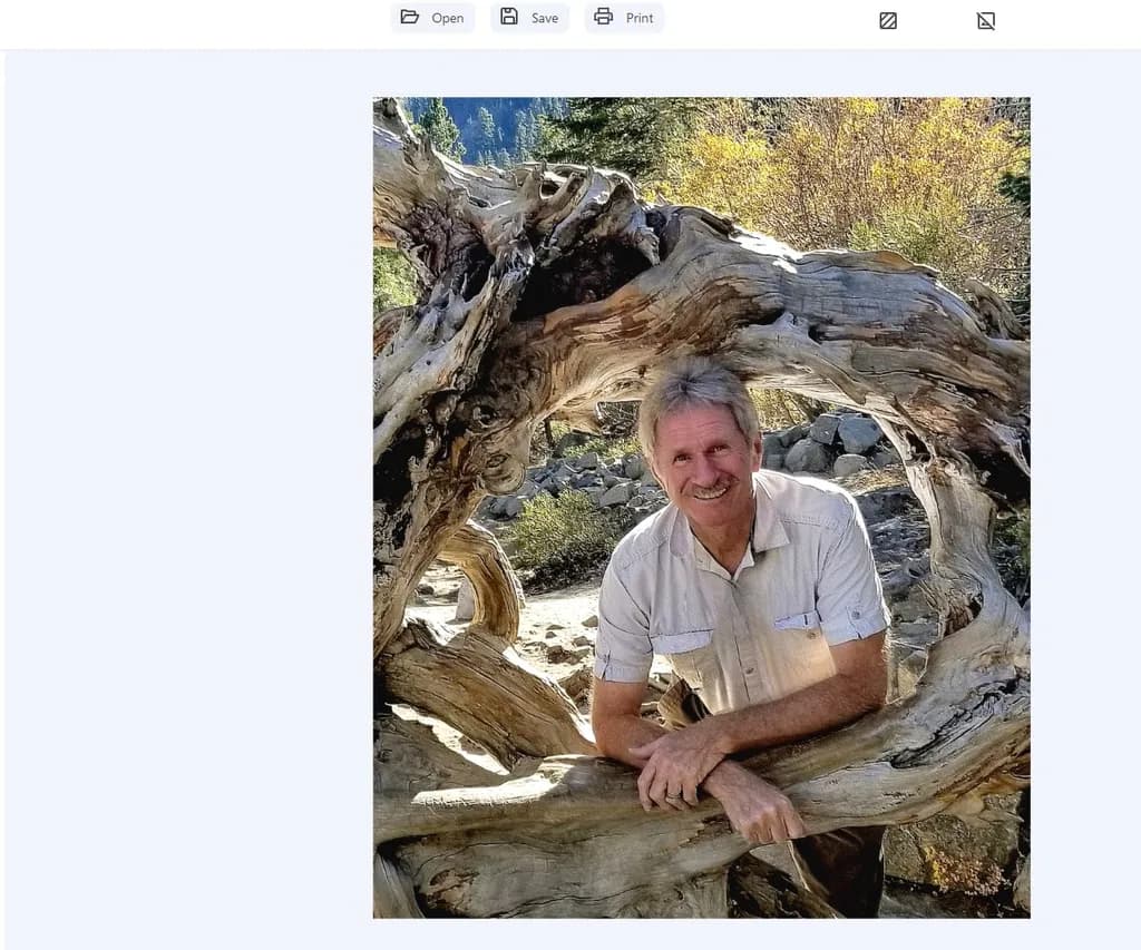 Nature's Embrace