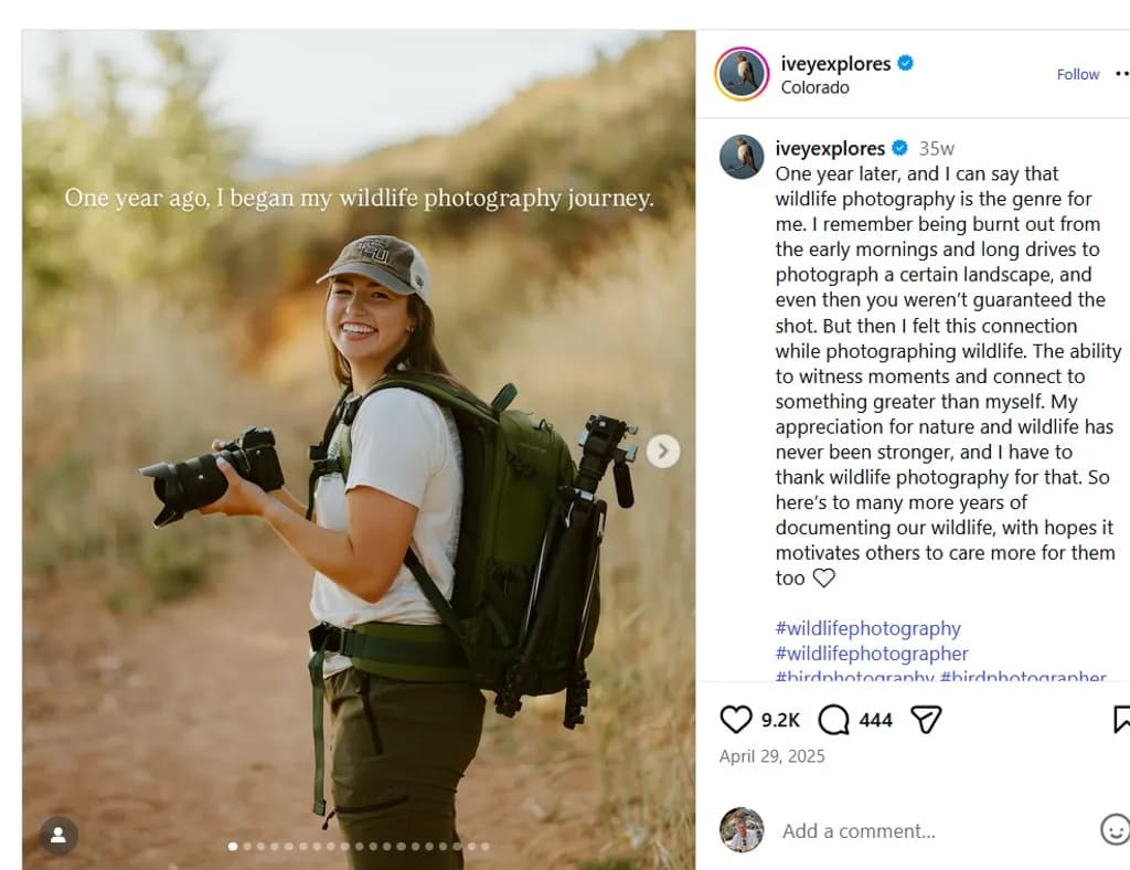 Wildlife Journey