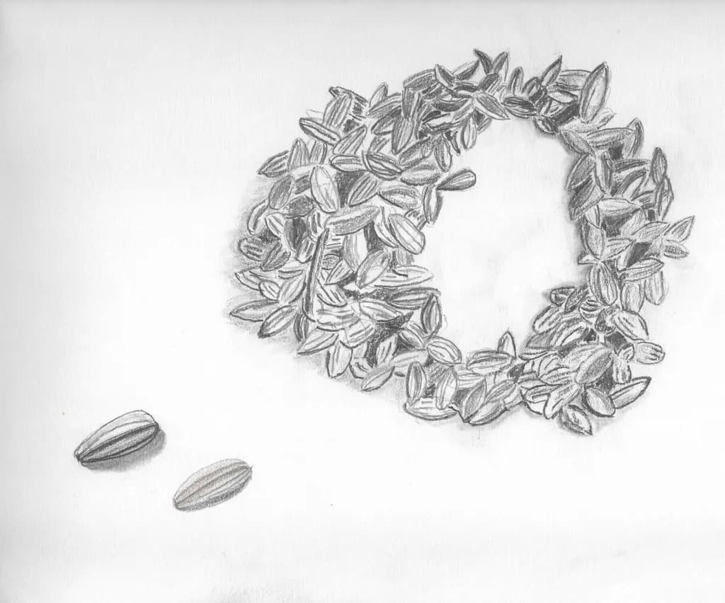 Seed Circle