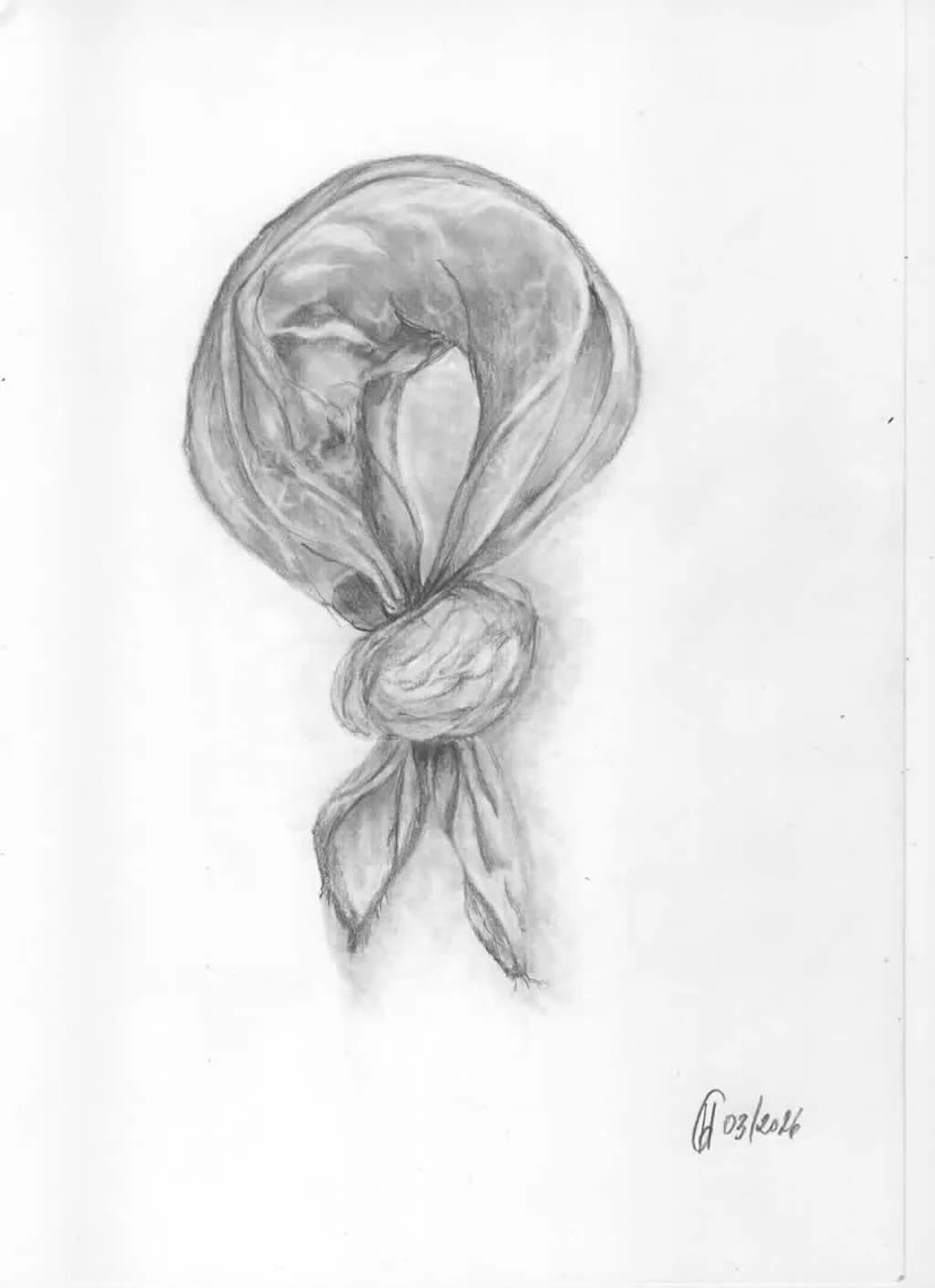 Folded Knot