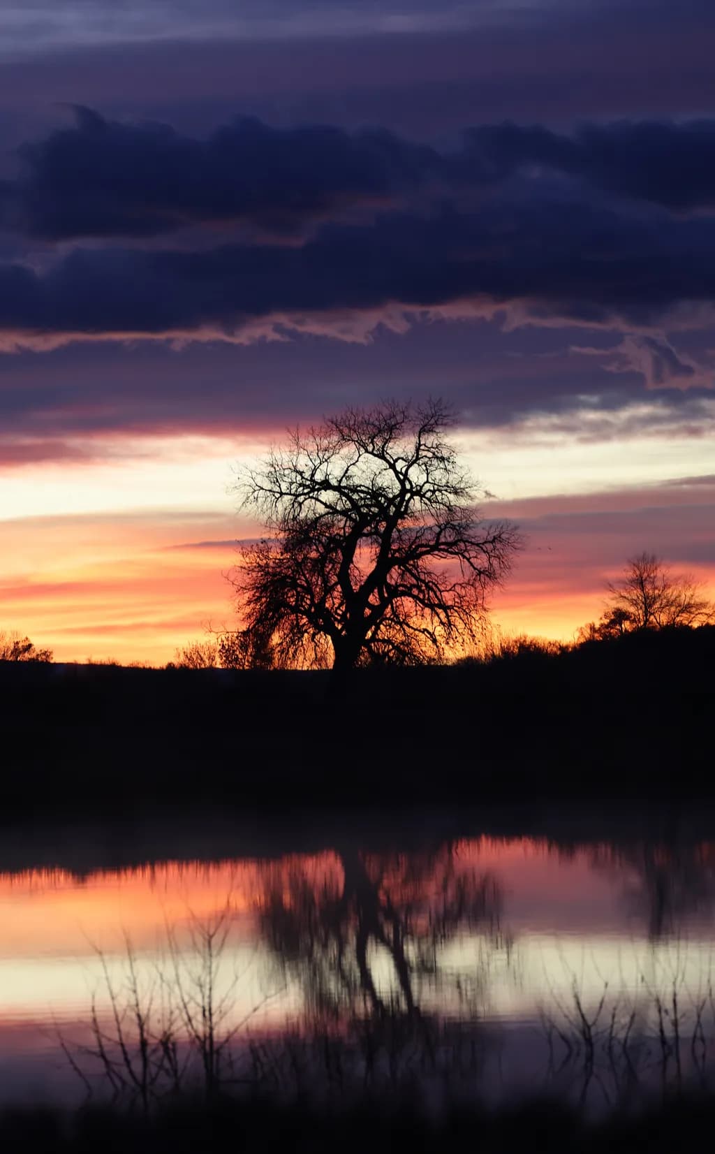 Sunrise Silhouette