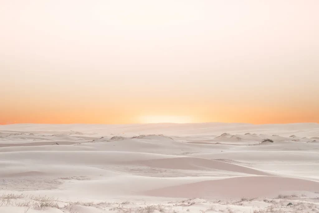 Apricot Dunes