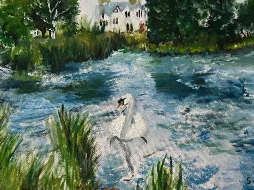 Swan Serenity