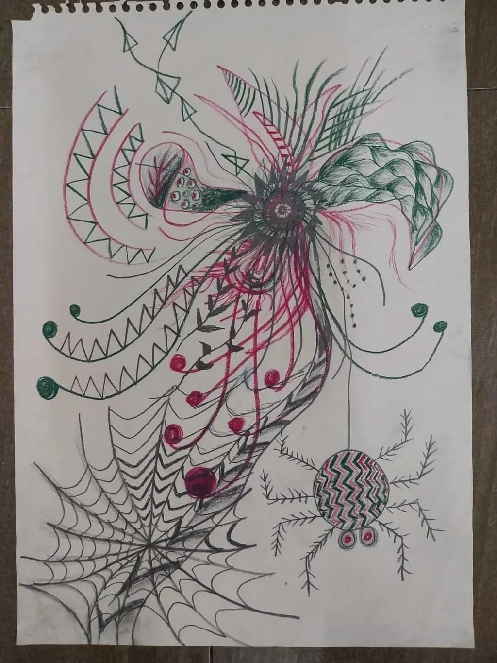Spider’s Spiral Web