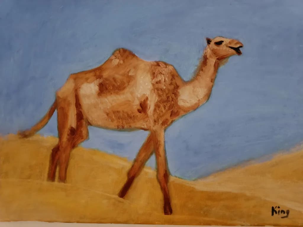 Desert Camel