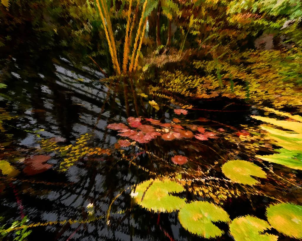 Fragmented Pondscape