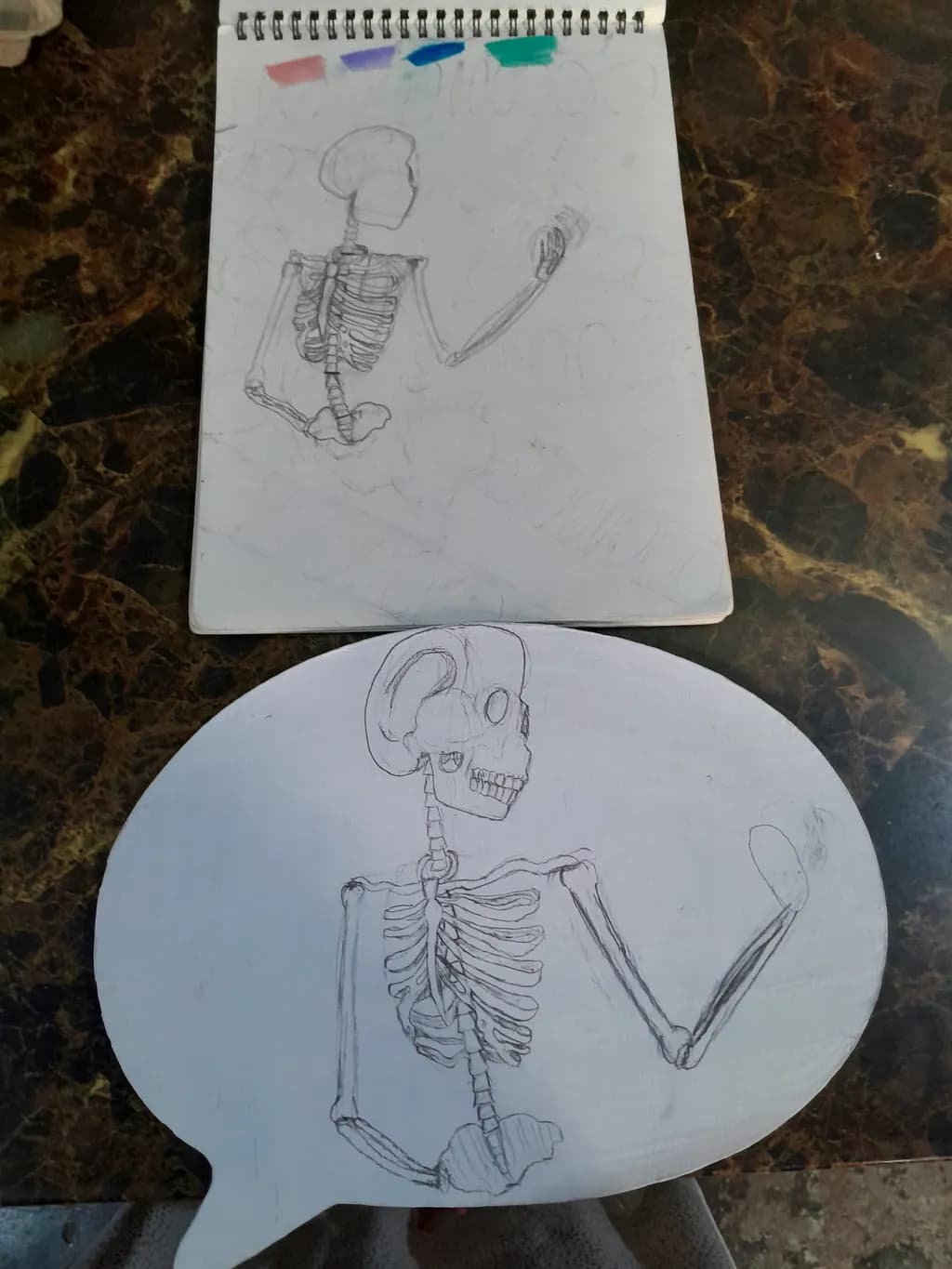Skeletal Sketch